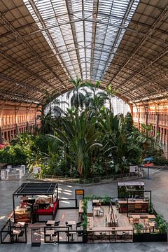 Madrid - Groene oase bij treinstation Atocha (0071) van Reezyard