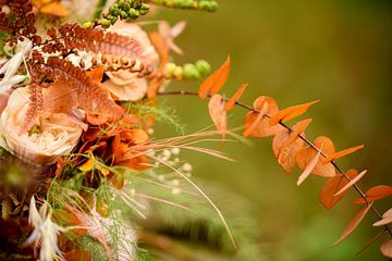 Beautiful flowers by Lindsey Post