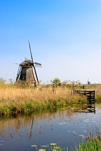 Windmühle in Kinderdijk