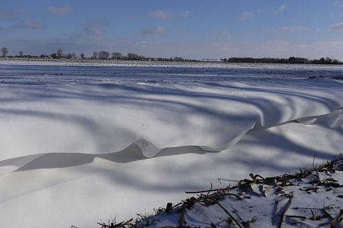 Snow Waves