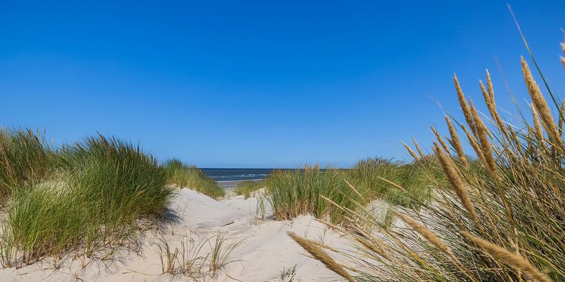 Eine Auszeit in den Dünen von Christoph Schaible