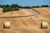 Champ de céréales fauché avec de grosses balles de foin rondes avec une route en arrière-plan