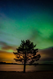 Der vom Nordlicht bemalte Himmel von Ebbes Nordic Photography
