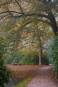 Herbst im Park