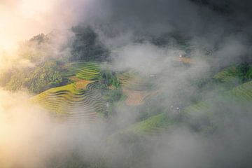 The Spectacular Rice Fields of Hoang Su Phì, Vietnam by Antwan Janssen