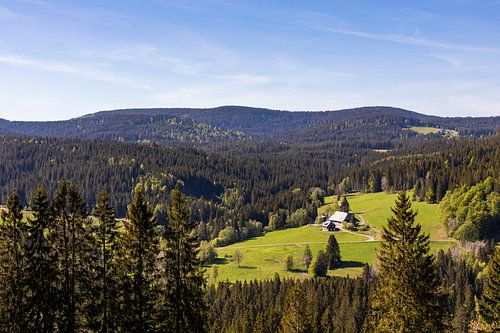 Schwarzwaldhof dans la Haute Forêt-Noire près du Feldberg