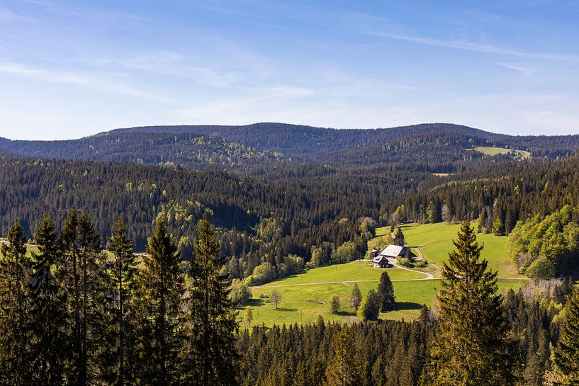 Schwarzwaldhof im Hochchwarzwald beim Feldberg von Werner Dieterich