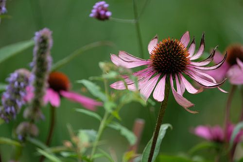 Farbe in der Unvollkommenheit