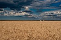 Prachtige dreigende wolken luchten boven de graanvelden