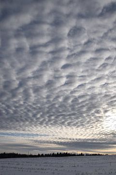 Wolken in een winterhemel van Claude Laprise