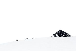 montagnes dans la neige
