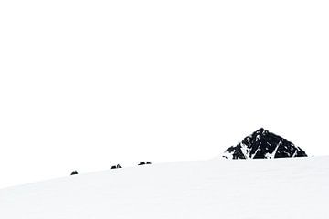Bergtoppen in de sneeuw van Carol Thoelen