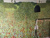 Klantfoto: Klaprozenweide, Gustav Klimt
