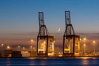 Industrial cranes in a port at sunset