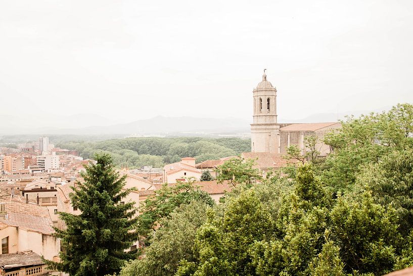 Kathedraal van Girona van Djuli Bravenboer