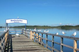 Seebrücke in Rechlin am Müritzsee von Peter Eckert