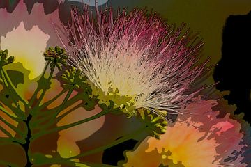 Persian silk tree flower. 2 by Alie Ekkelenkamp