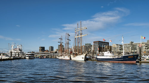 Hamburg - Old sailors in the harbour