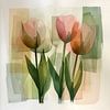Tulipes dessin abstrait sur Dakota Wall Art