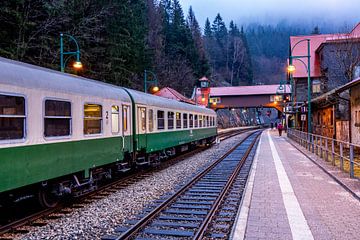Volle kracht vooruit met de speciale trein "Rodelblitz" bij Schmalkalden - Thüringen - Duitsland van Oliver Hlavaty