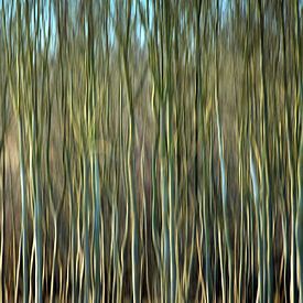 RHEINAU ICM - the curtain von Bernd Hoyen
