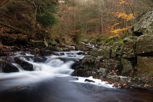 Herfst in de Vallei van de Hoëgne