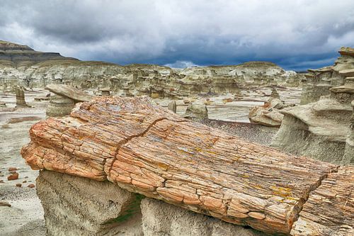 Bois pétrifié de Bisti badlands en hiver Nouveau Mexique, USA