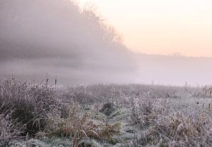 atmosphärische Landschaft
