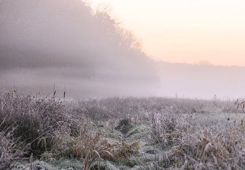 atmospheric landscape