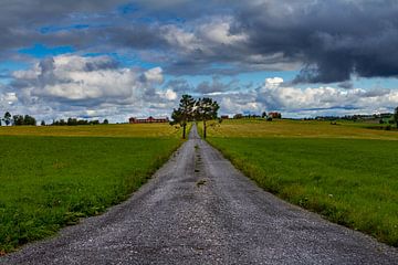 Landschap net buiten Östersund in Zweden van Hamperium Photography