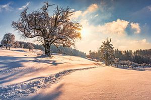 Winterlandschaft