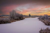 Mühle 'der Prinsenhof' Westzaan