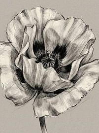 Poppy in Anthrazit – Monochrom von nekochan23