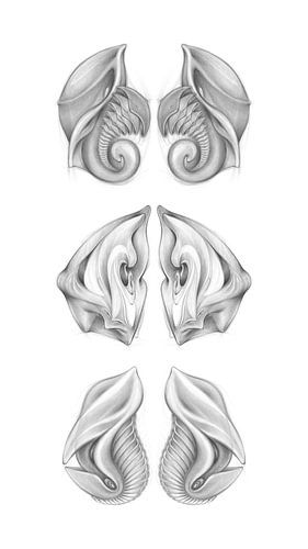 Three imaginary life forms 3