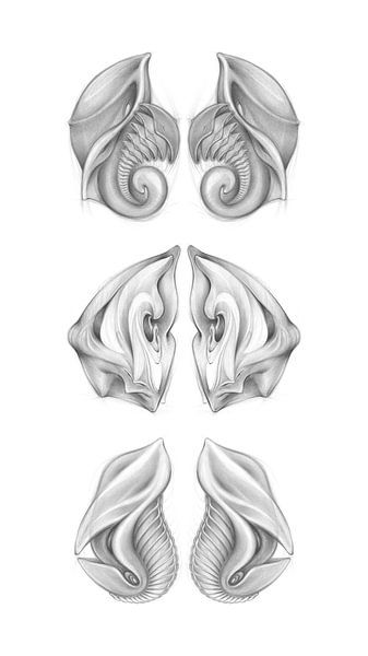 Three imaginary life forms 3 by Adriana Müller