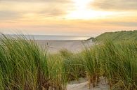 Lever de soleil dans les dunes de l'île de Texel dans la région de la mer des Wadden par Sjoerd van der Wal Photographie Aperçu