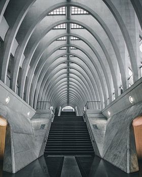 Treinstation van Luik in België