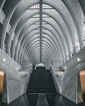 Treinstation van Luik in België van MAT Fotografie