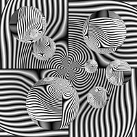 Studie Nr. 7 Monochrome Kugeln Spiegeloptik Illusion