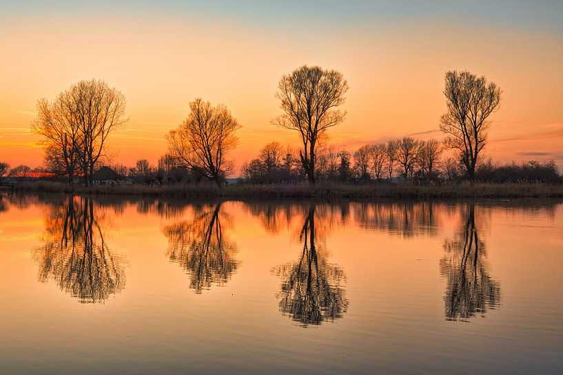 2 times 4 trees in the Maalwater by peterheinspictures