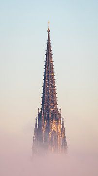 Main church St. Nikolai in Hamburg by Nils Steiner