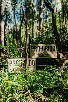 Entrée interdite dans la jungle