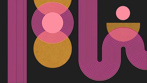 Japandi Modern Abstractie Geometrisch Organisch Neon