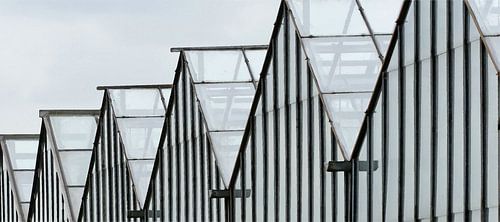 Hollandse kassenritmiek