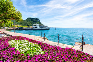 Floraler Charme entlang der Promenade von Garda
