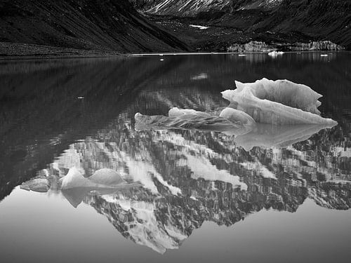 Hooker Lake Icebergs