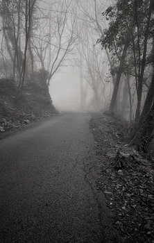La voie du silence