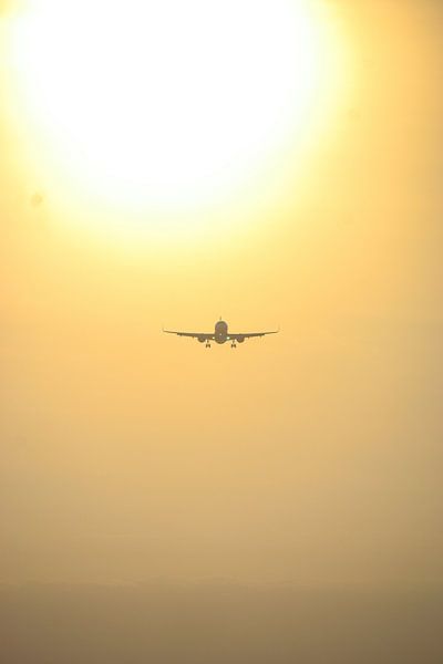 Plane under the evening sun by Muhammad Sachidhani