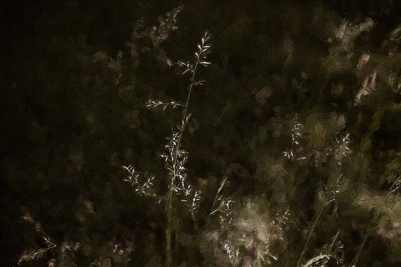Sprieten in een grasveld in olieverf van Quay Art