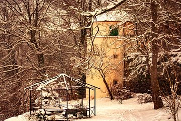 Winter time in the castle park of Laupheim van Michael Nägele